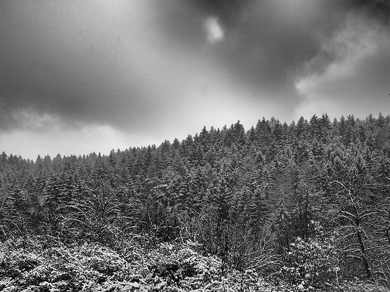 Ctyrkoly, Prague, January 2016, Photo by Arash Raissian