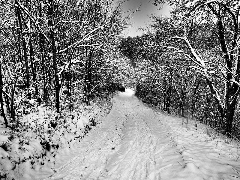 Ctyrkoly, Prague, January 2016, Photo by Arash Raissian