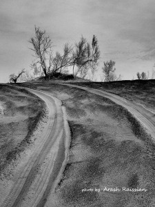 Trace - photo by Arash raissian