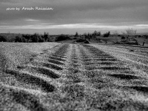 Trace - photo by Arash raissian