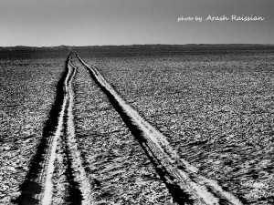 Trace - photo by Arash raissian
