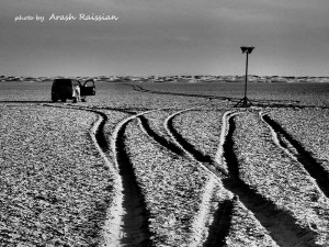 Trace - photo by Arash raissian