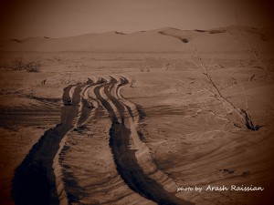 Trace - photo by Arash raissian