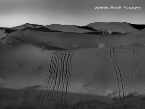 Trace - photo by Arash raissian