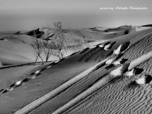 Trace - photo by Arash raissian