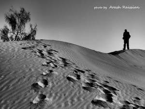 Trace - photo by Arash raissian