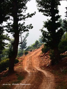 Trace - photo by Arash raissian